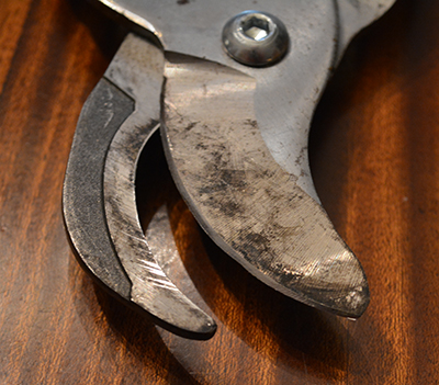 How to Sharpen Pruning Shears